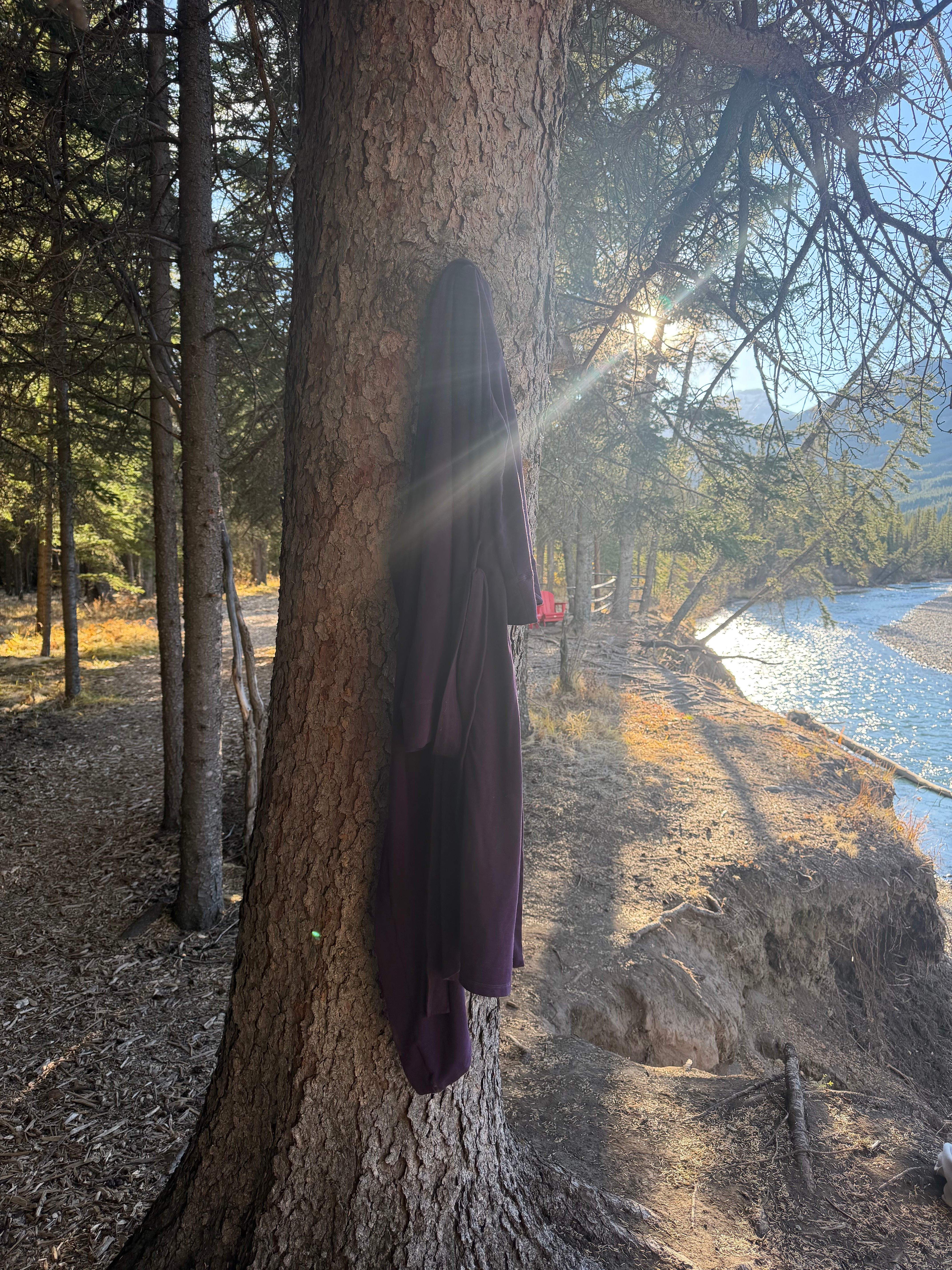 PREORDER - The French Terry Robe