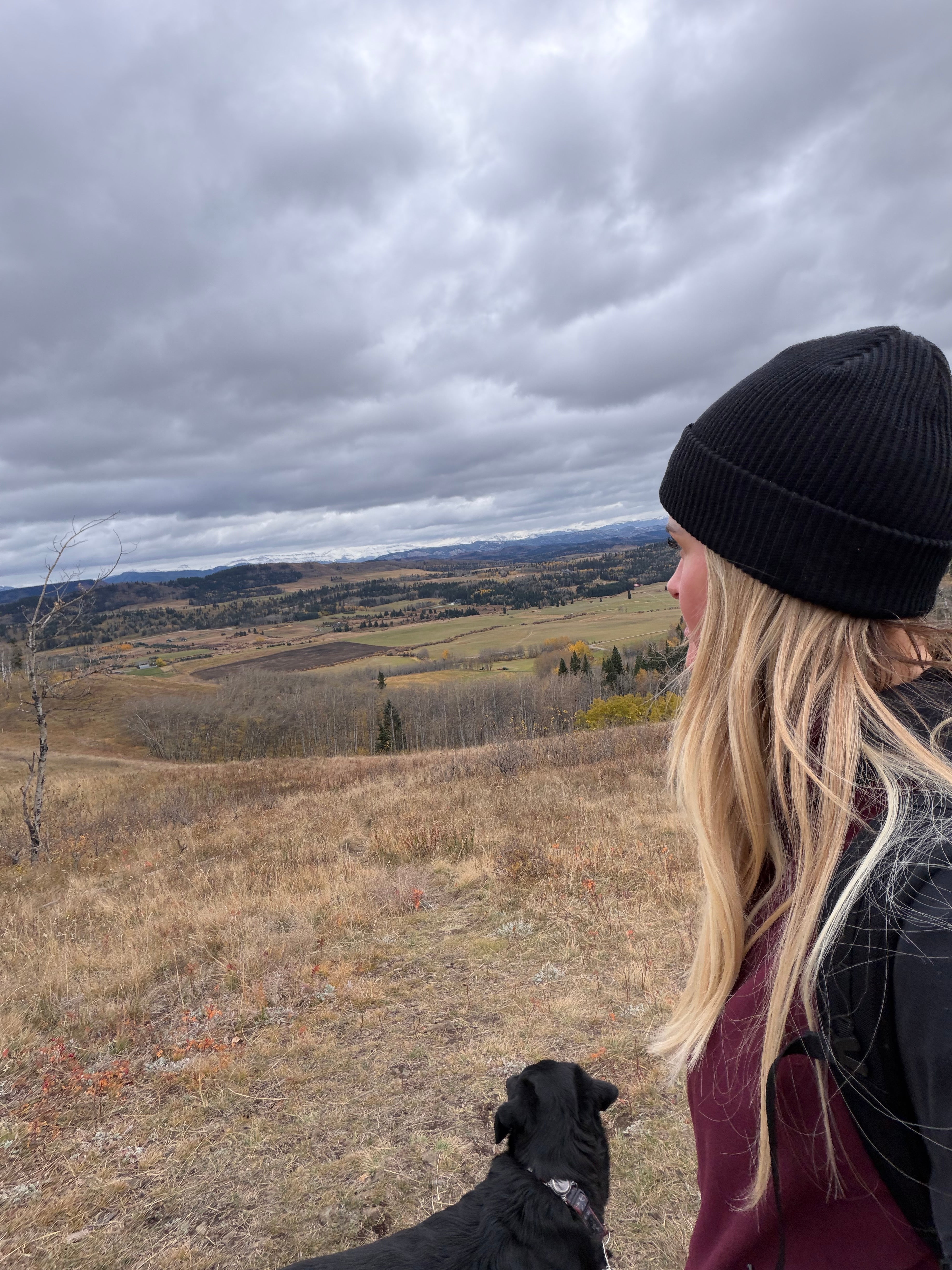 The Shaker Knit Toque